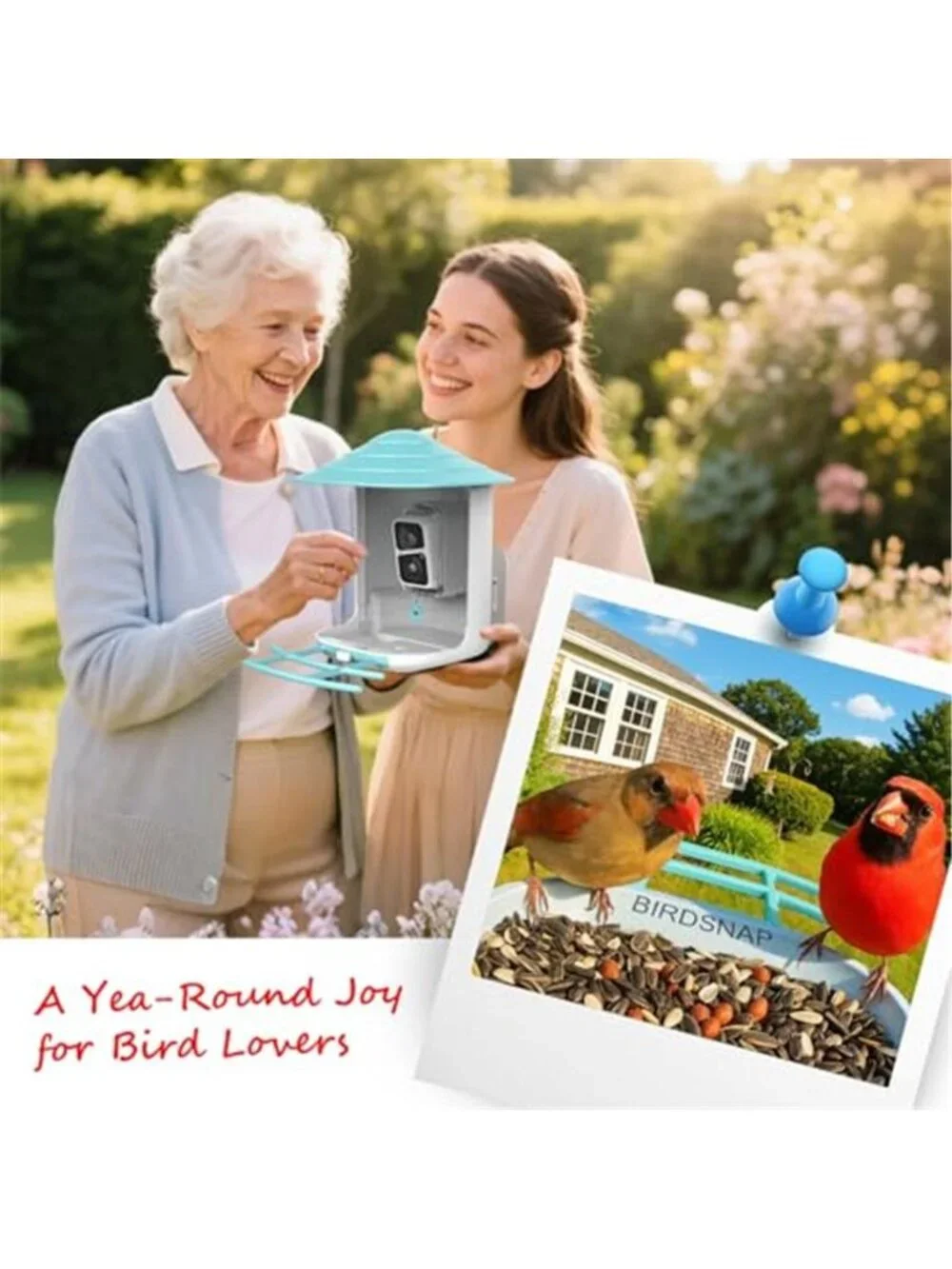 New TUC Bird Feeder with Camera 2K HD Live with 32GB Card Auto Detect &